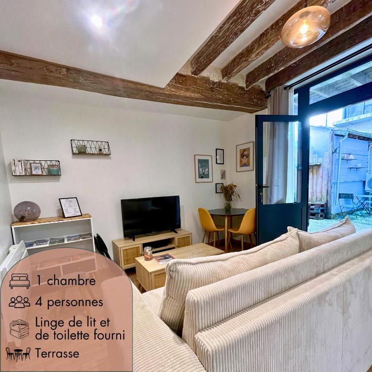 un salon avec deux canapés et une télévision dans l'établissement La Cour Chartraine - Cosy appartement avec cour extérieur à Blois, à Blois