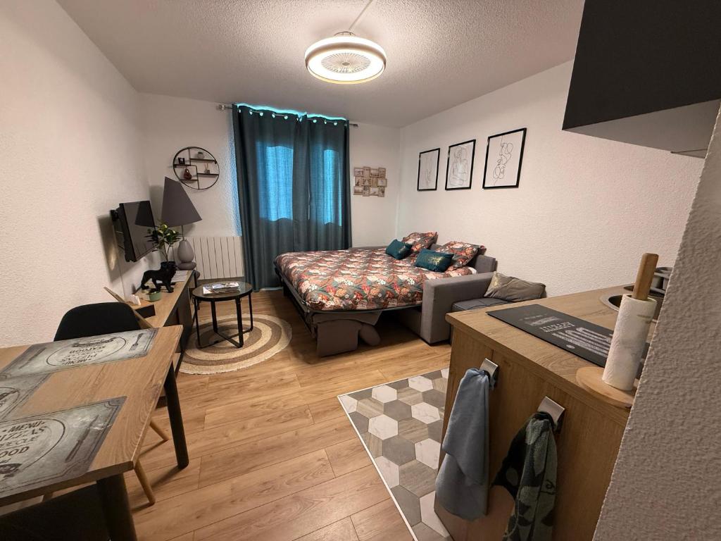 un salon avec un canapé et un lit dans l'établissement studio calais côte d'opale, à Calais