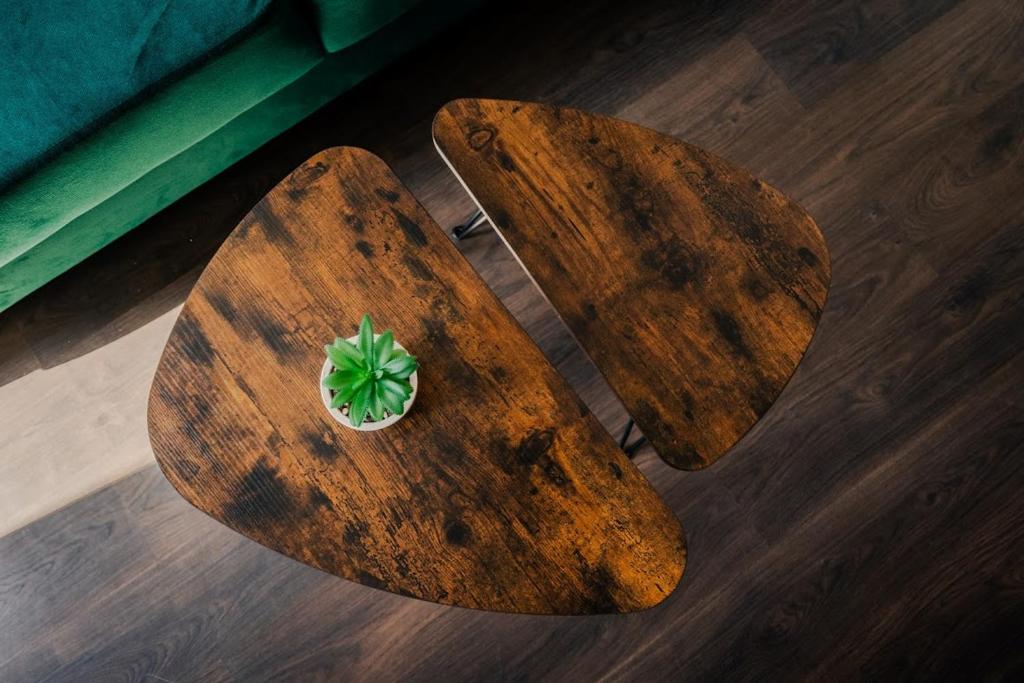 Hotel Swit - Resim 5