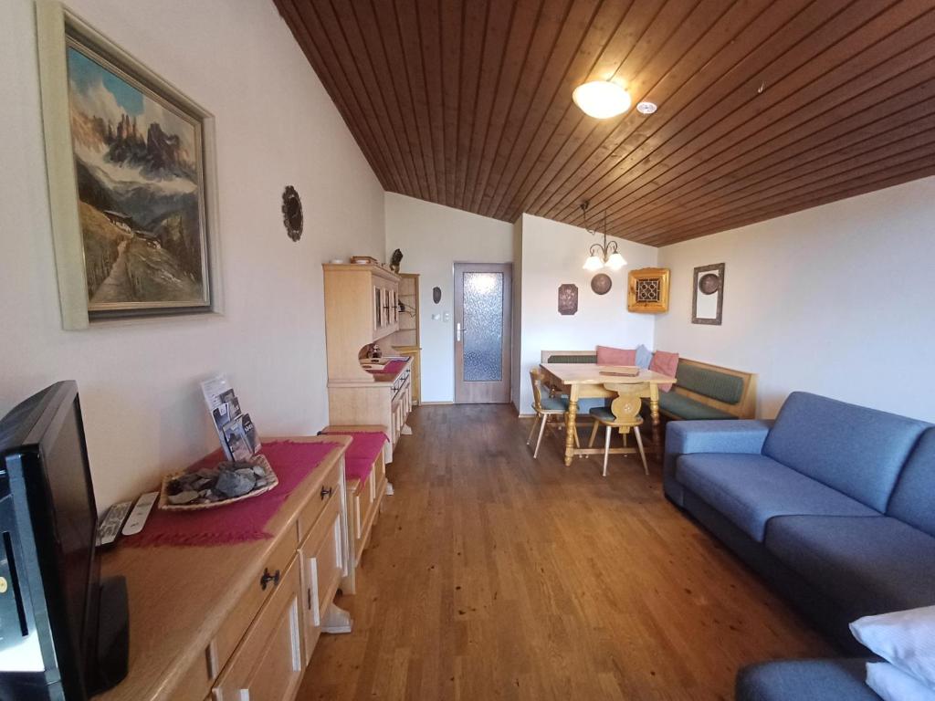 TV a/nebo společenská místnost v ubytování Apartment Schmid - Steinbock Lodges