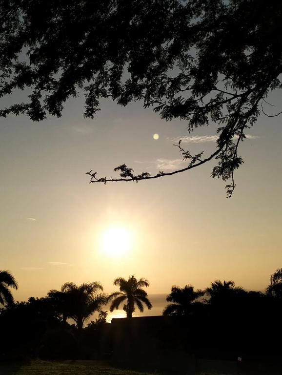 a sunset with palm trees in the foreground at 2 Bedroom Willow Park Apartment in Ballito