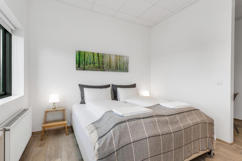 Blue Mountain Apartments by Heimaleiga - Resim 17