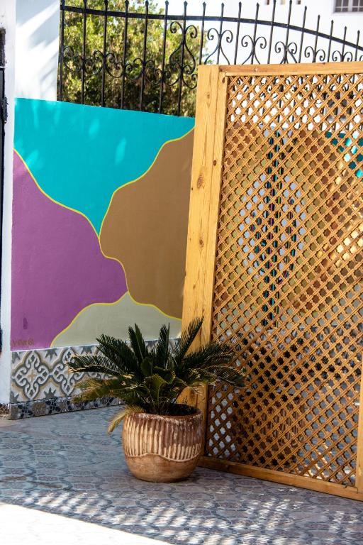 Fotografie z fotogalerie ubytování Villa Vovan v destinaci Dahab