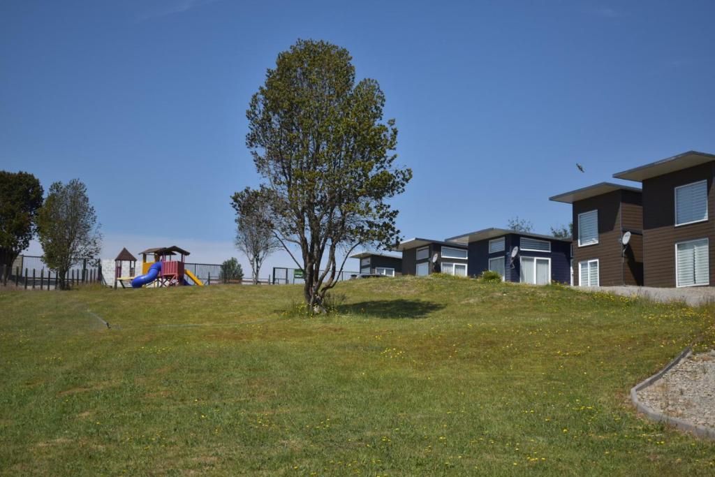 a tree in a yard with a playground at Cabañas alto Volcanes, Puerto Montt in Puerto Montt