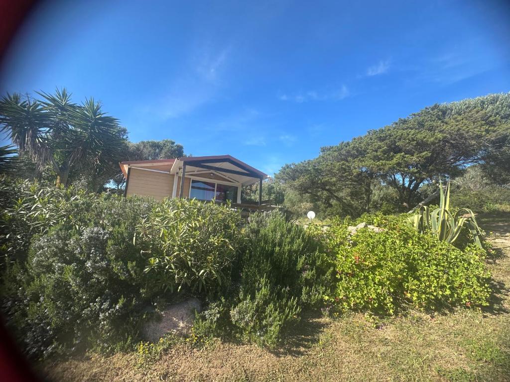 Zahrada ubytování les chalets de la Residence A Santa Trinita