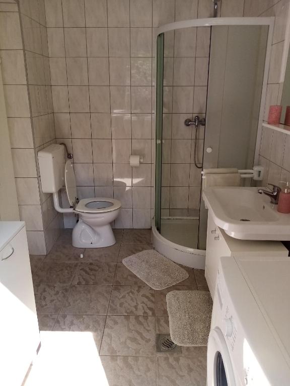 a bathroom with a toilet and a shower and a sink at Apartment Buic in Pula
