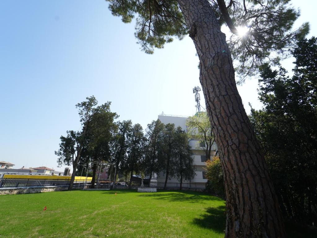 Příroda nedaleko hotelu