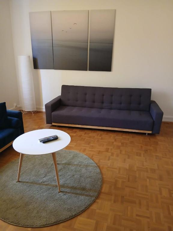 Large Apartment Free Parking Mulhouse – photo 12