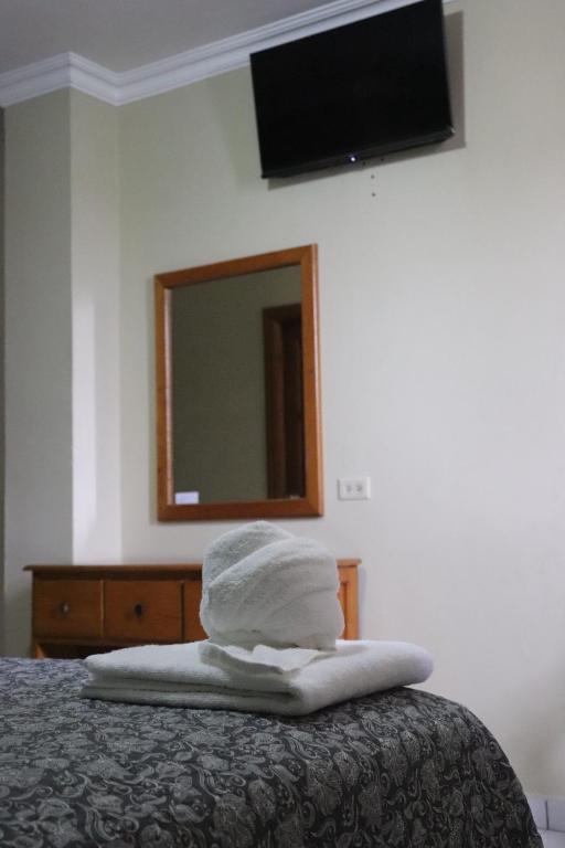 Postel nebo postele na pokoji v ubytování Hotel Toledo