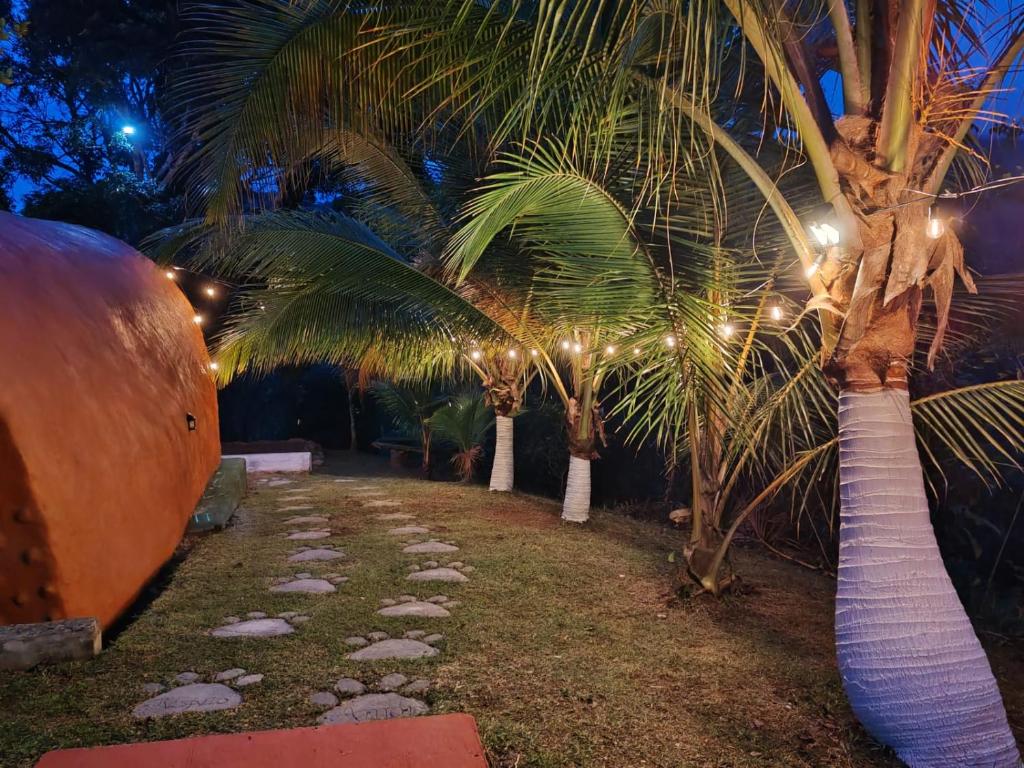 Zahrada ubytování Cabaña Glamping en Finca Agroturística Productora de Café