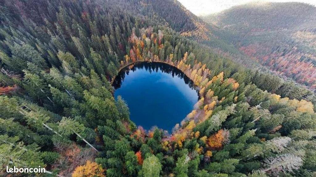 Príroda v okolí dovolenkového domu