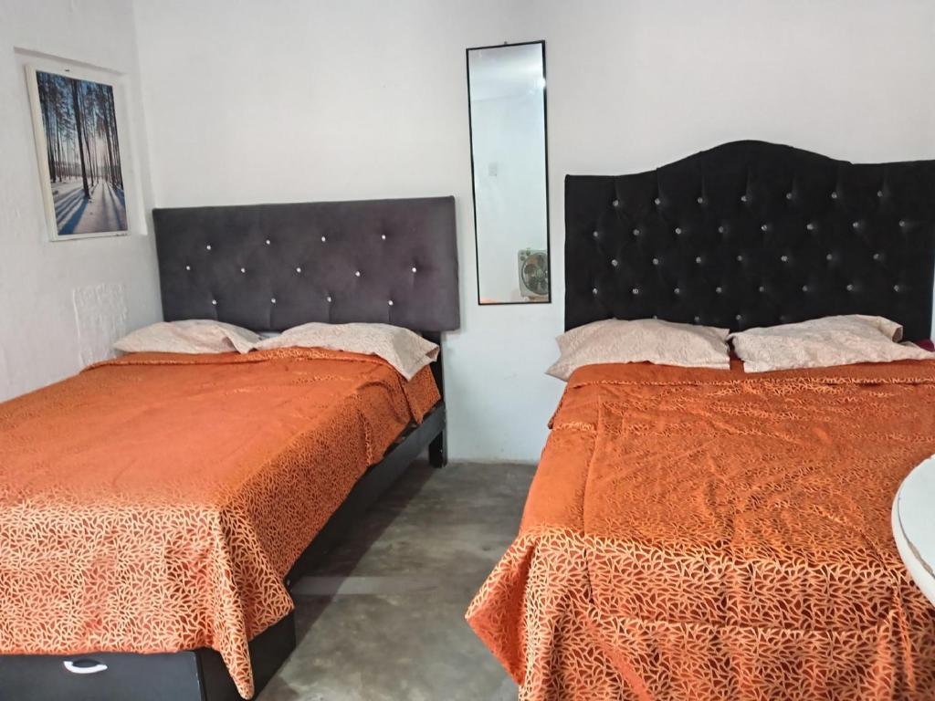 Postel nebo postele na pokoji v ubytování Quinoa Backpackers Hostel