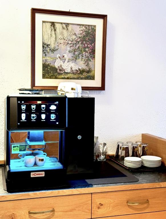 Kuchyň nebo kuchyňský kout v ubytování Garni Hotel Dorothea