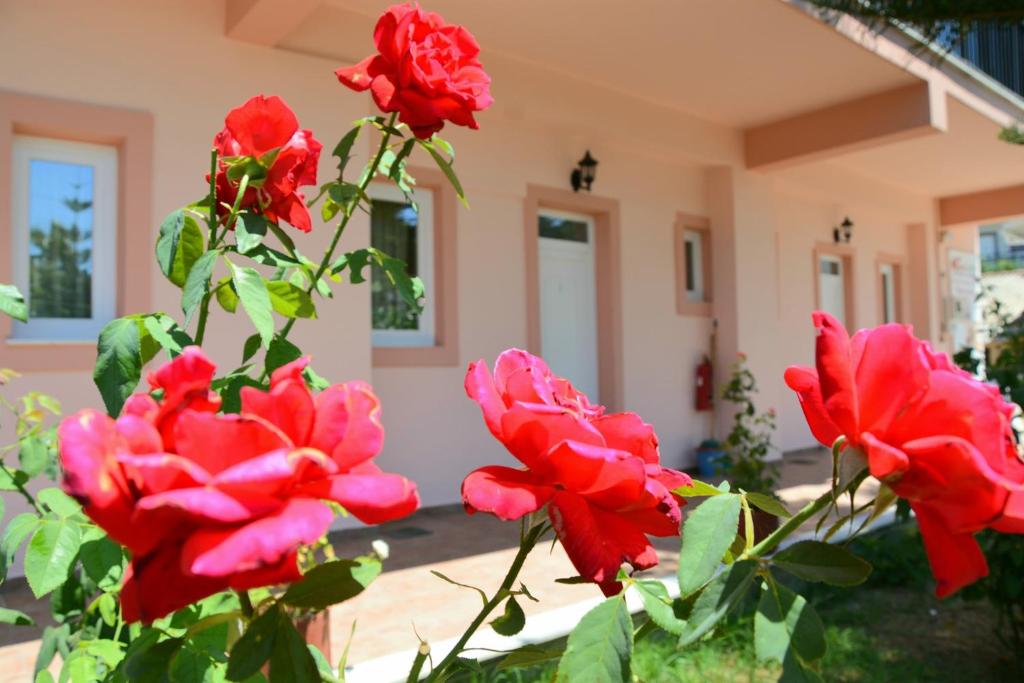 a group of red roses in front of a house at Red Rose Garden in Tsilivi
