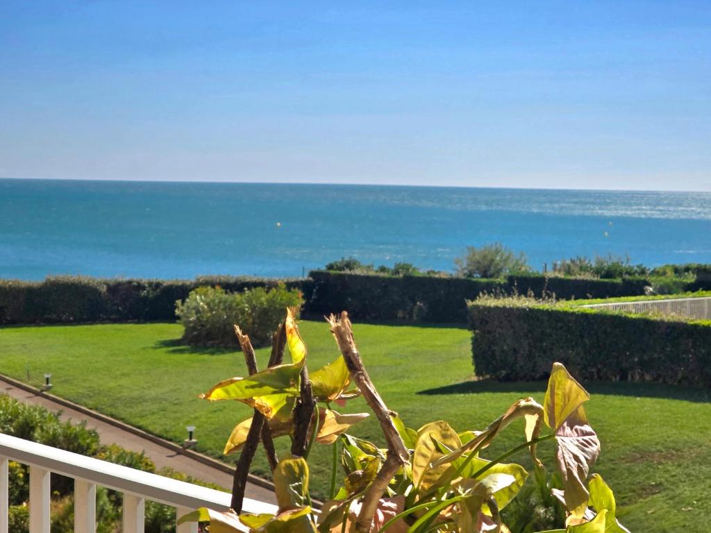 Elle offre une vue sur le jardin et l'océan en arrière-plan. dans l'établissement Studio cabine idéalement situé vue mer, Les Indes Galantes, piscine, parking, au Cap d'Agde