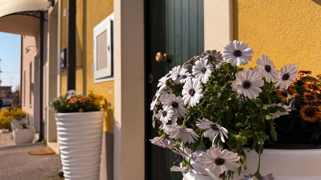 Fotografie z fotogalerie ubytování GM Apartment v destinaci Sommacampagna