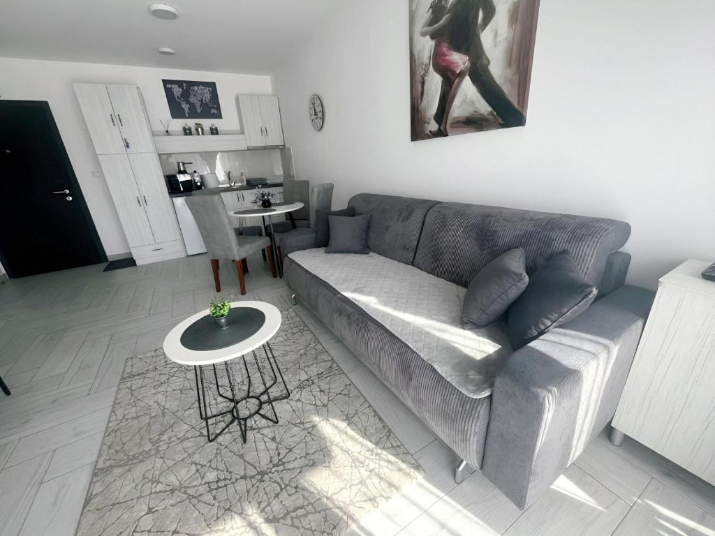 Kuchyň nebo kuchyňský kout v ubytování Apartman 3N