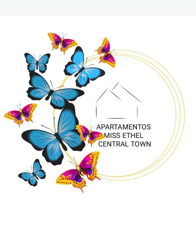 Certifikát, hodnocení, plakát nebo jiný dokument vystavený v ubytování Posada Miss Anibel Central Town