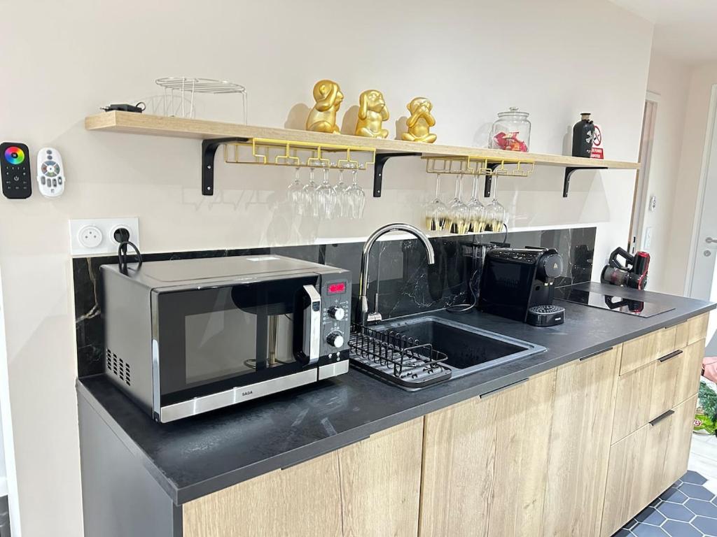 a kitchen counter with a microwave and a sink at Evreux ground floor apartment,jardin,proche hyper centre in Évreux