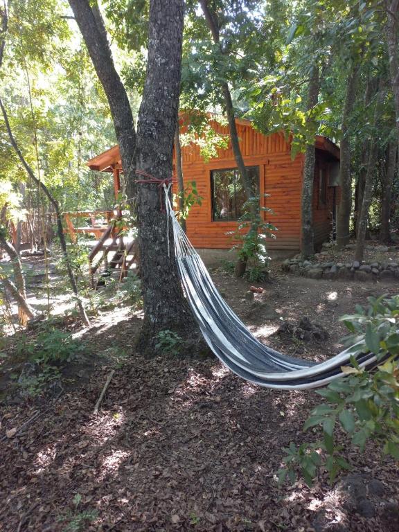 Zahrada ubytování Cabañas Tía Marce, Los Lleuques