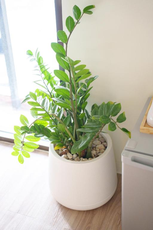 Gecko EYE Hotel - Resim 45