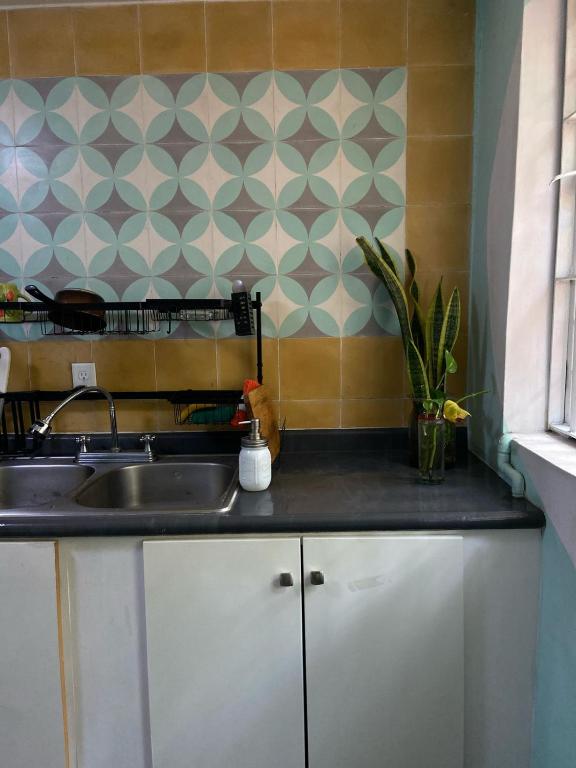 Kuchyň nebo kuchyňský kout v ubytování El Pinche Hostal