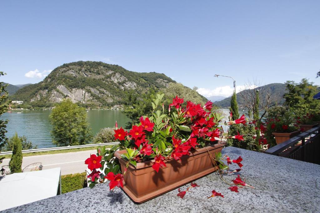a pot of red flowers on a table with a view at Hotel Grotto Bagat in Lavena Ponte Tresa