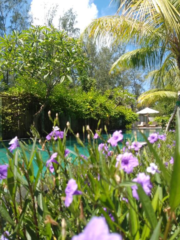 Villa Penyu Gili Trawangan - 15