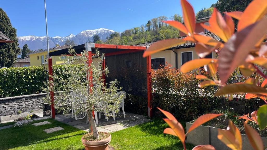 Zahrada ubytování Ferienwohnung Casa Azalea