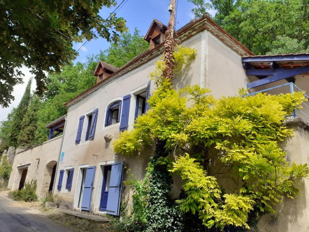 une vieille maison avec des fenêtres bleues et un arbre dans l'établissement Les Volets Bleus, family cottage, à Crégols