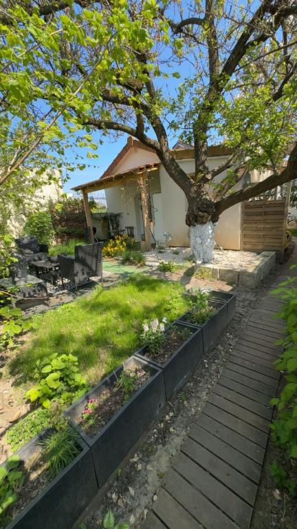 un jardin avec un arbre et une maison dans l'établissement oasis, à Vitry-sur-Seine