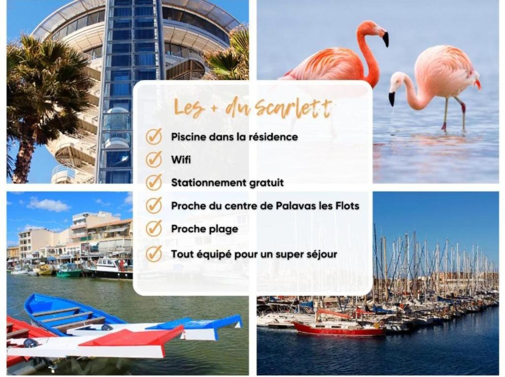 Fotografie z fotogalerie ubytování Janislove34 Maison 1 Chambre avec accès piscine dans résidence à Palavas les flots v destinaci Palavas-les-Flots