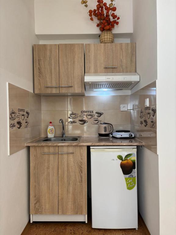 Kuchyň nebo kuchyňský kout v ubytování Apartmanovy dom Grand