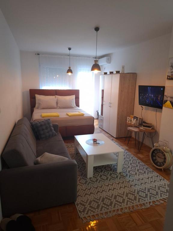 トゥズラにあるApartman IDEA Tuzlaのソファとベッドのあるリビングルーム