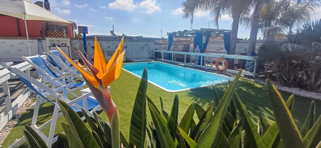 Bazén v ubytovaní Alloggi Turistici con Piscina Palestra Jacuzzi Sauna - All Inclusive alebo v jeho blízkosti
