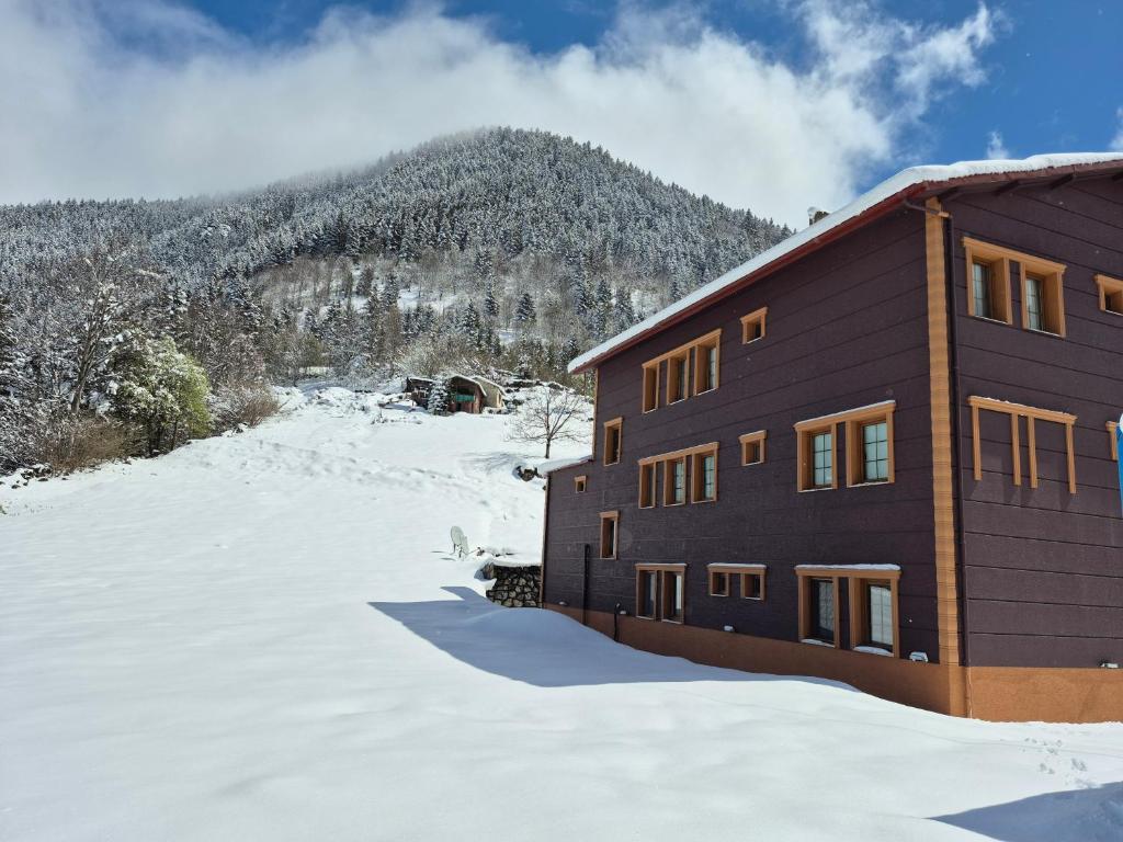 Kaya Palace om vinteren