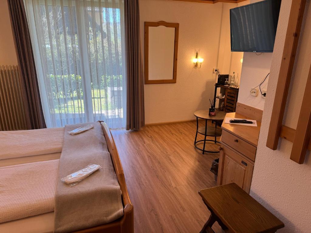 TV a/nebo společenská místnost v ubytování Hotel Restaurant Adler Stube