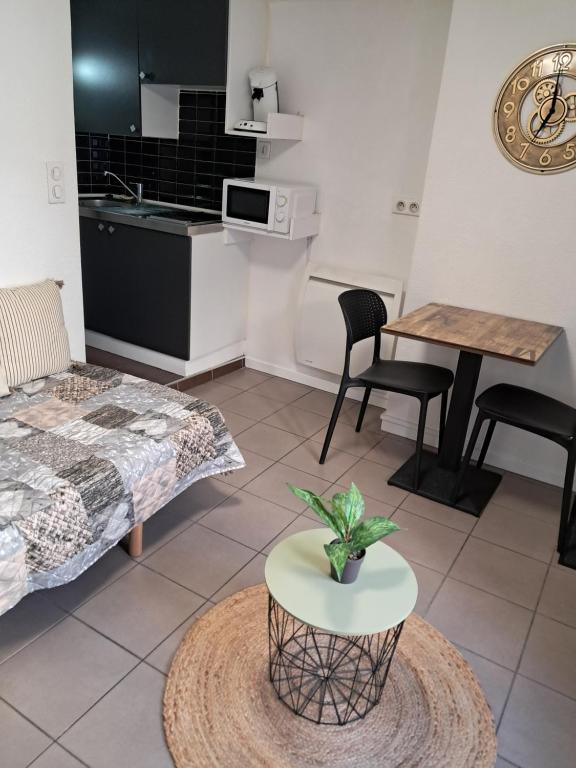 un salon avec un lit et une table dans l'établissement STUDIO 1 personne dans le centre historique, au Puy-en-Velay