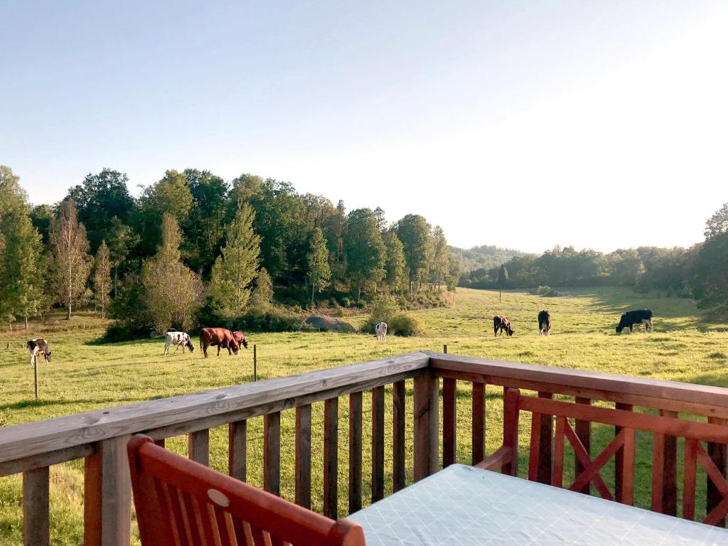 a deck with a table and cows in a field at Häradssätter gård 2 in Valdemarsvik