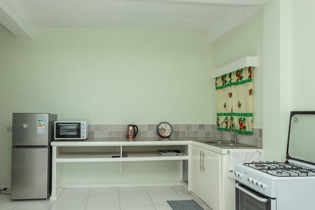 Kuchyň nebo kuchyňský kout v ubytování Blue Horizon Apartments