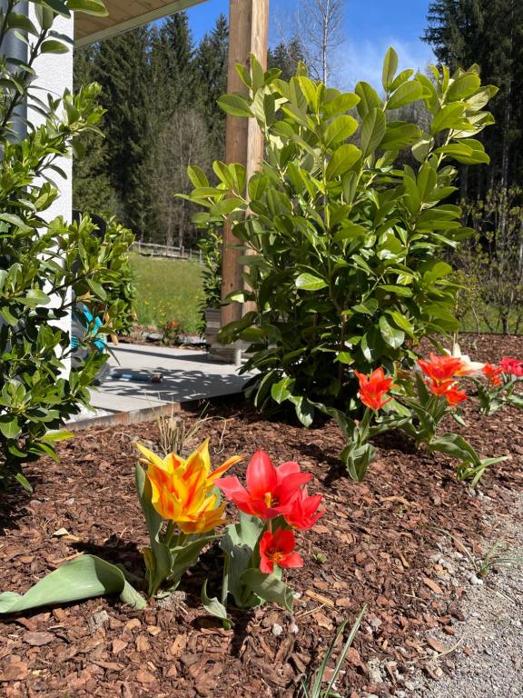 Waldblick - Neubau - Self-Check-In - kein Verkehr - am Wald - Parkplätze vor Tür - apartment or double room - 5