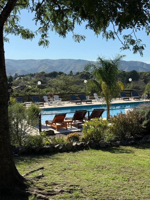 a swimming pool with lounge chairs and a tree at Complejo Falda del Sauce in Villa General Belgrano