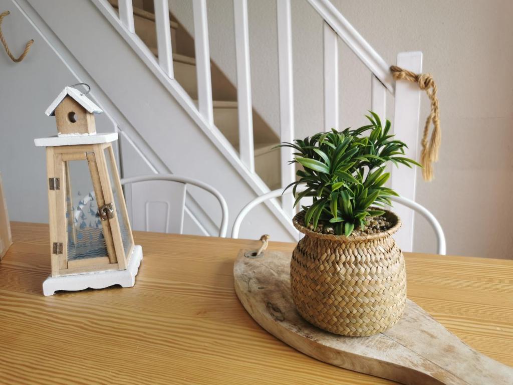 eine Pflanze auf einem Tisch neben einem Vogelhaus in der Unterkunft Studio mezzanine proche du Marché de Noël - vue sur le Canigou, aire de jeux d'enfants, parking in Le Barcarès