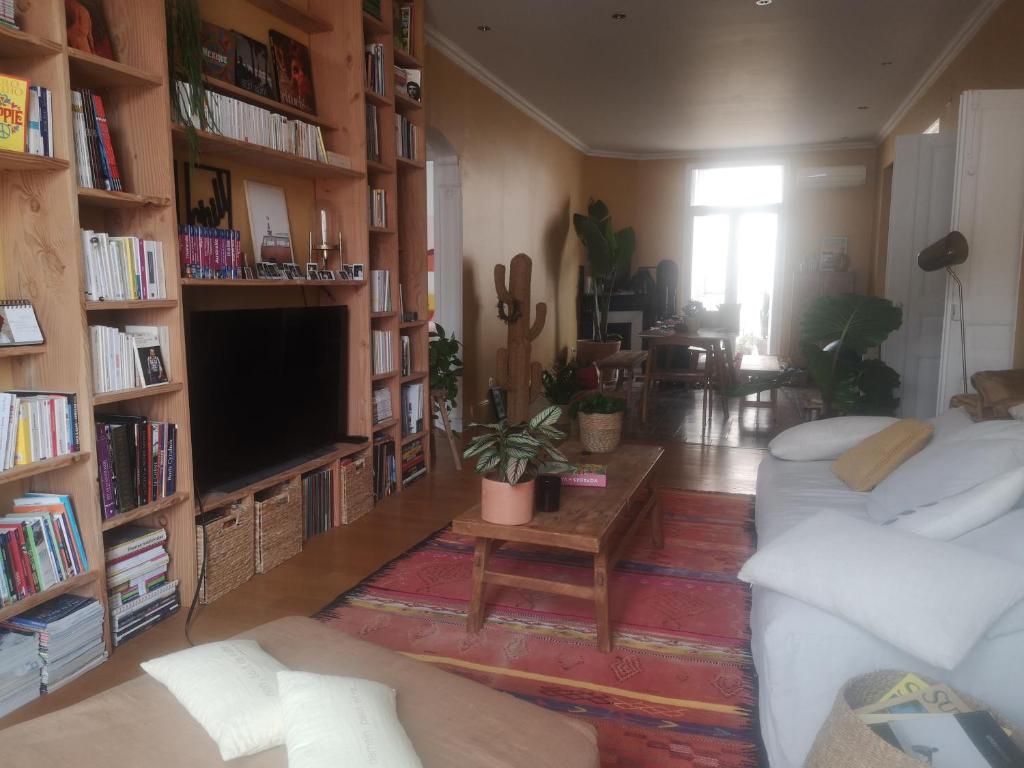 un salon avec un canapé et une télévision dans l'établissement Appartement bourgeois 2 chambres 4 pers Perpignan Centre, à Perpignan