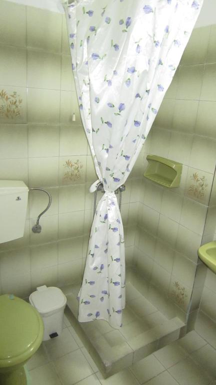 a bathroom with a toilet and a curtain with birds on it at Sandalis Hotel in Pythagoreio