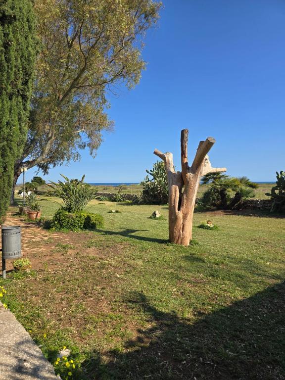 Príroda v okolí of the bed and breakfast