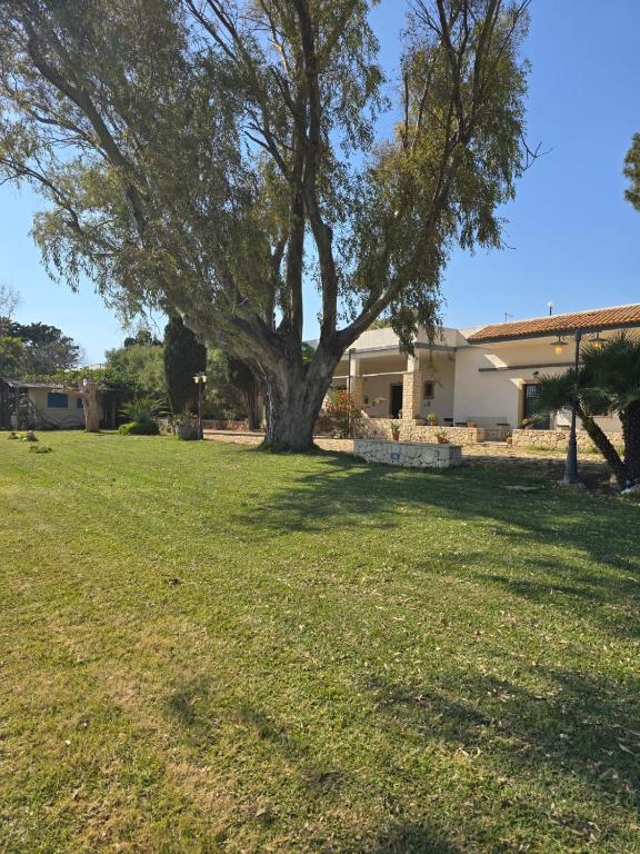 Vonkajšia záhrada v ubytovaní B&B Casa Cavarra