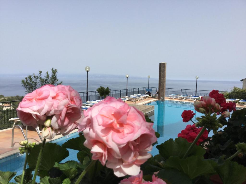 a group of pink flowers next to a swimming pool at Hotel Sirius in Taormina