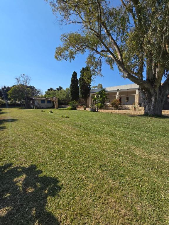 Vonkajšia záhrada v ubytovaní B&B Casa Cavarra
