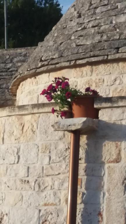 Residenza Di Nonna Giulia - 17